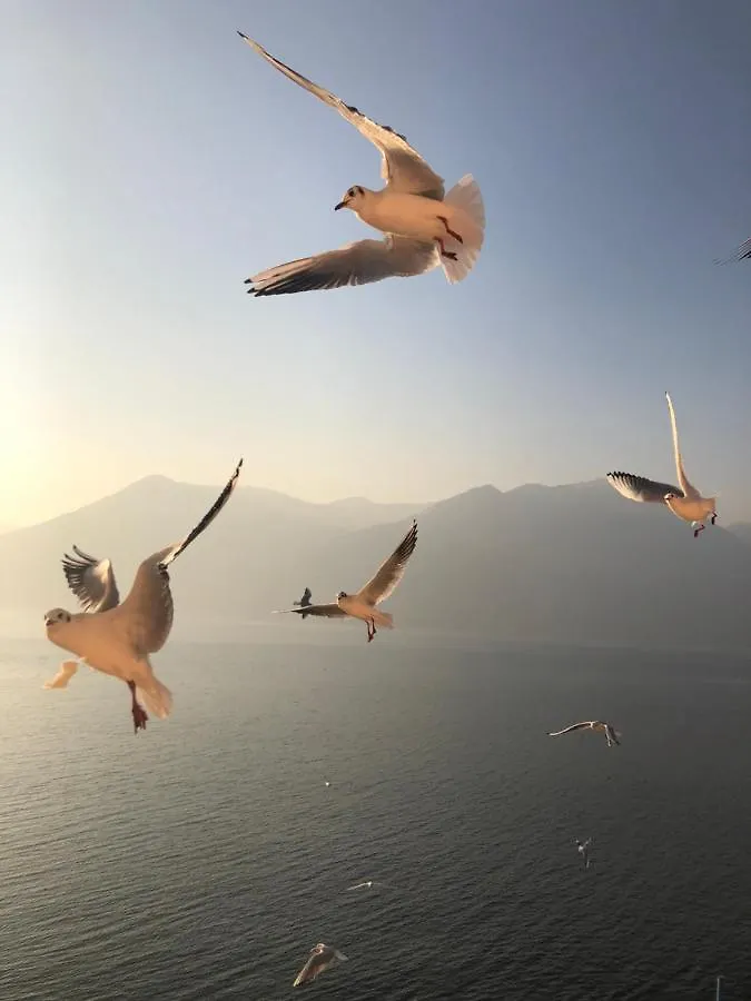 Residenza Di Prestigio In Riva Al Lago Marone Primo Piano Italien