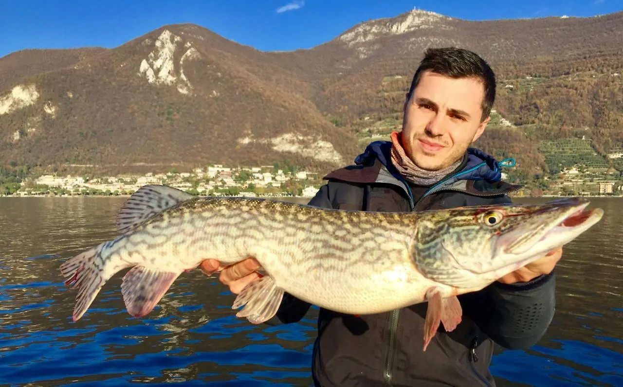 In Riva Al Lago Di Iseo Residenza Primo Piano Marone 0*,