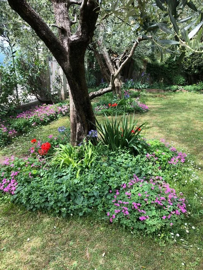 In Riva Al Lago Di Iseo Residenza Primo Piano Marone Apartment